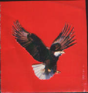 swscan00116join.jpg